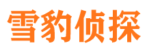 潮阳市调查公司